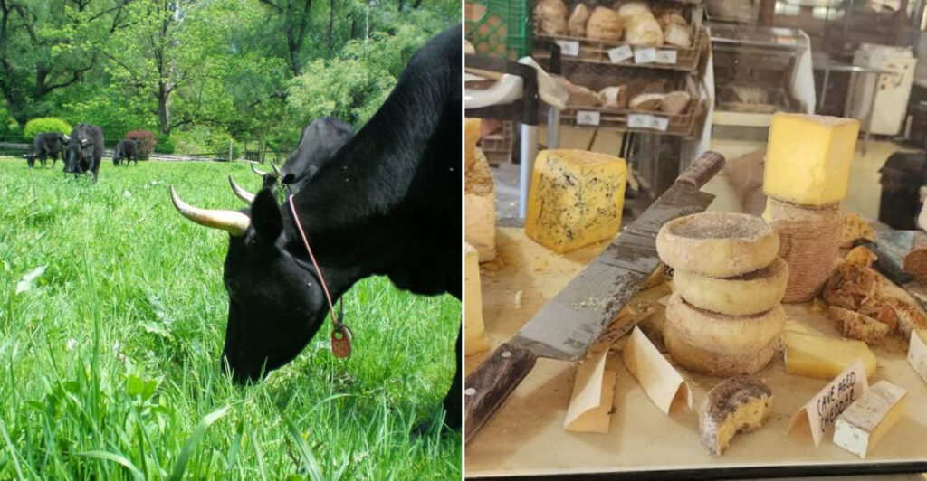 The Rural Food Destination Where Regenerative Farming Meets Incredible Baking