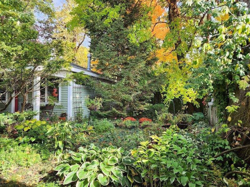 Saugatuck Itself Is Worth the Trip