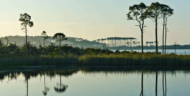 Western Lake: The Rare Coastal Dune Lake You Can Actually Paddle