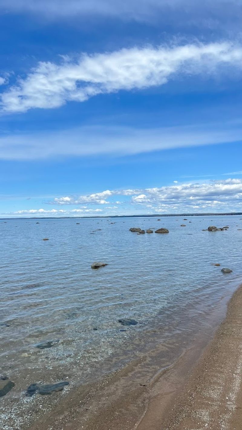 Crystal Clear Water and the Zebra Mussel Effect