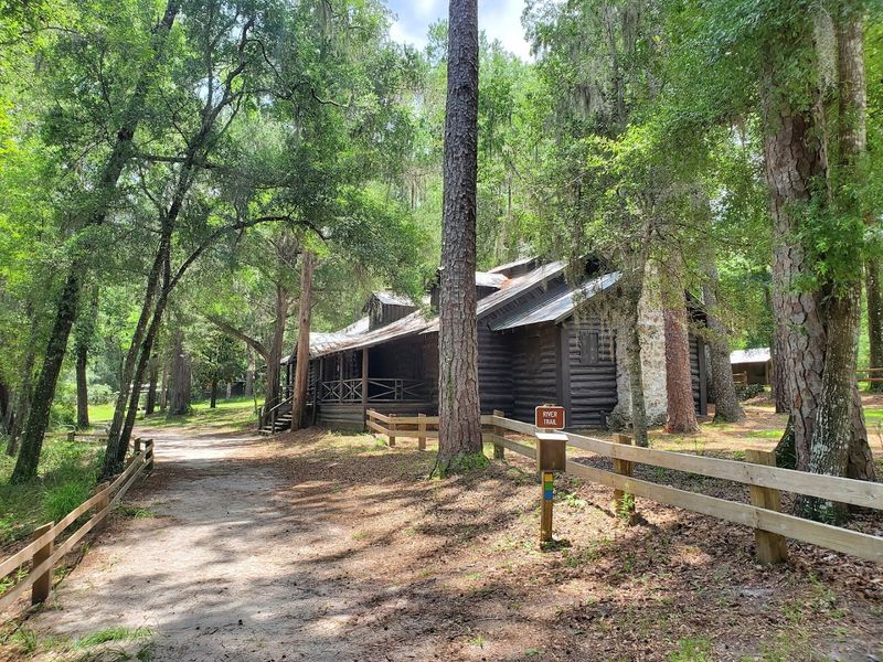 Camping Under a Canopy of Stars