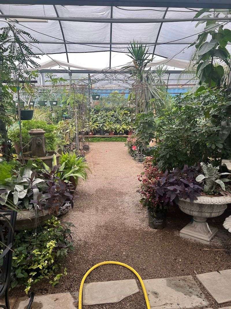 The Exotic and Indoor Plant Collection