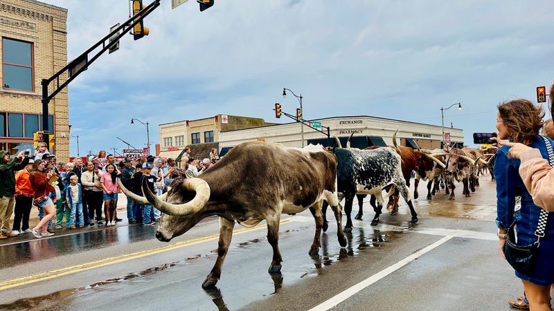 Stockyards City and the Culture Around the Market