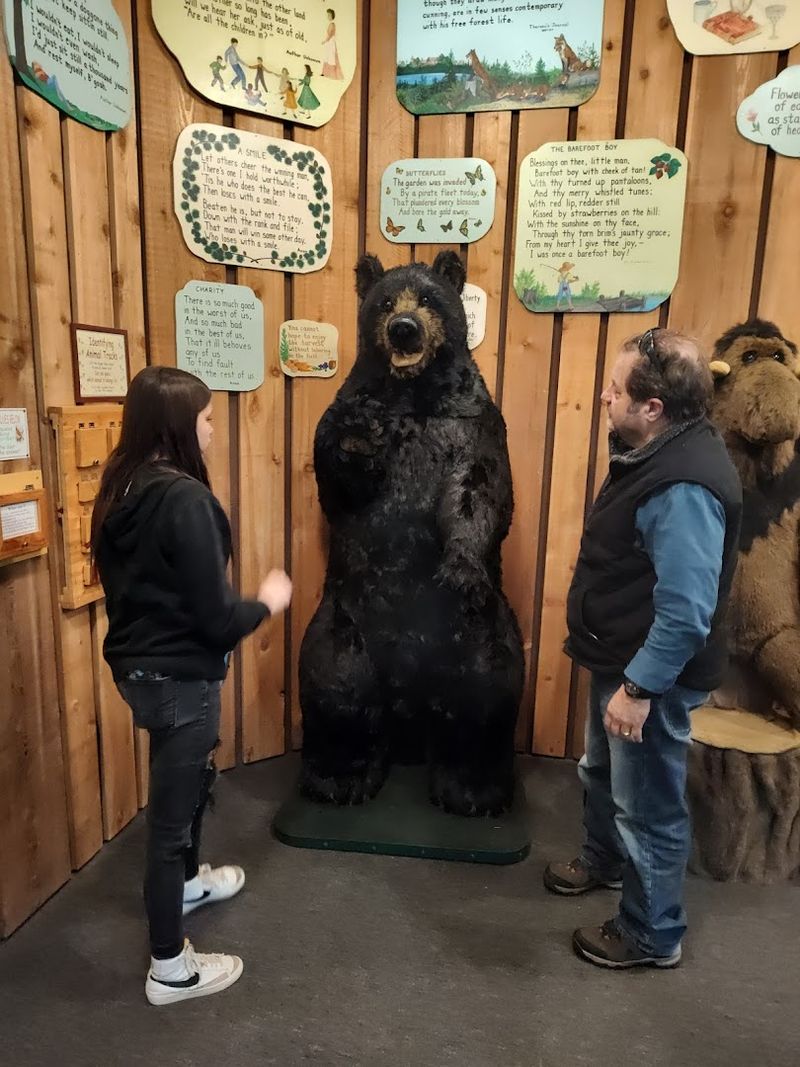 The Poetry and Discovery Room: A Quiet Surprise