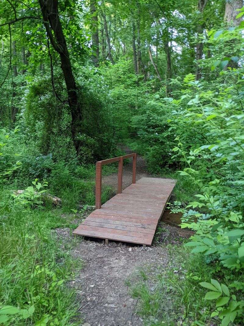 How the Trails Are Laid Out