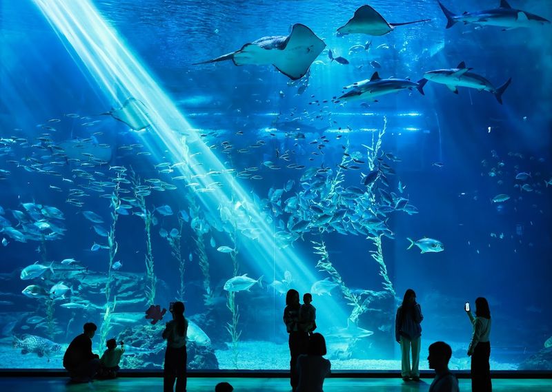 Aqua Planet Jeju, South Korea