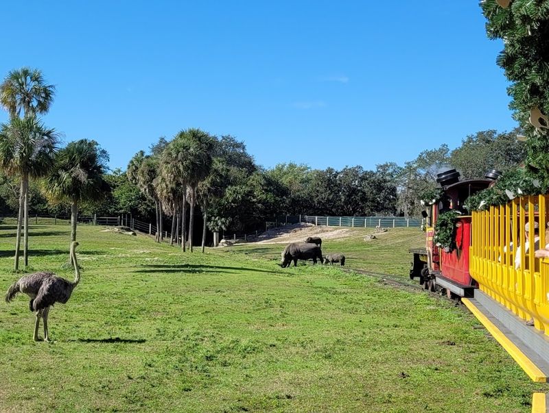 The Safari Train Ride: Slow Down and Soak It In