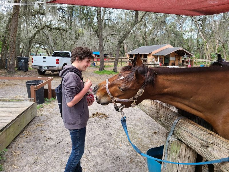 Practical Tips to Make the Most of Your Visit