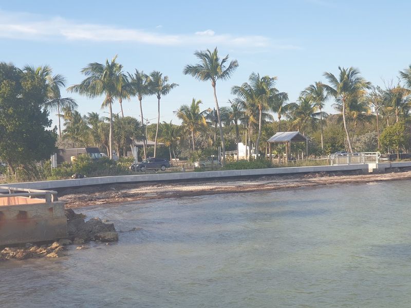 John Pennekamp Coral Reef State Park: The First Stop Worth Making