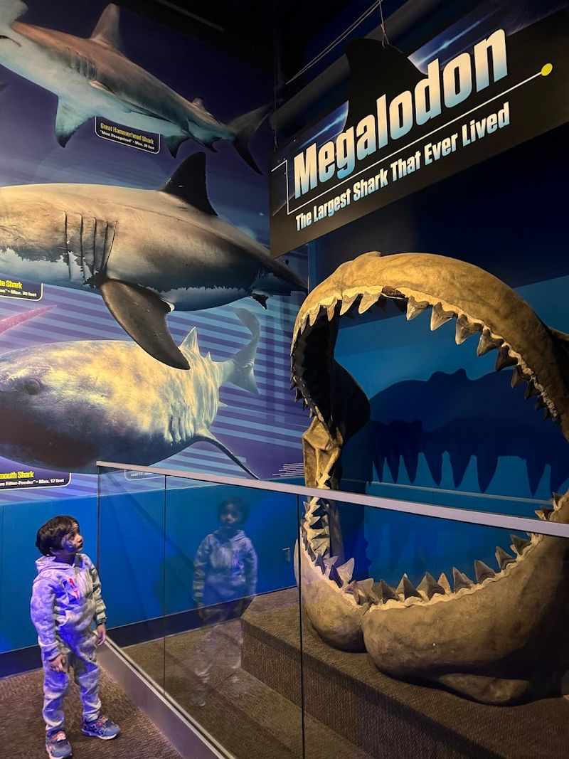 Ticket Prices and Ways to Save