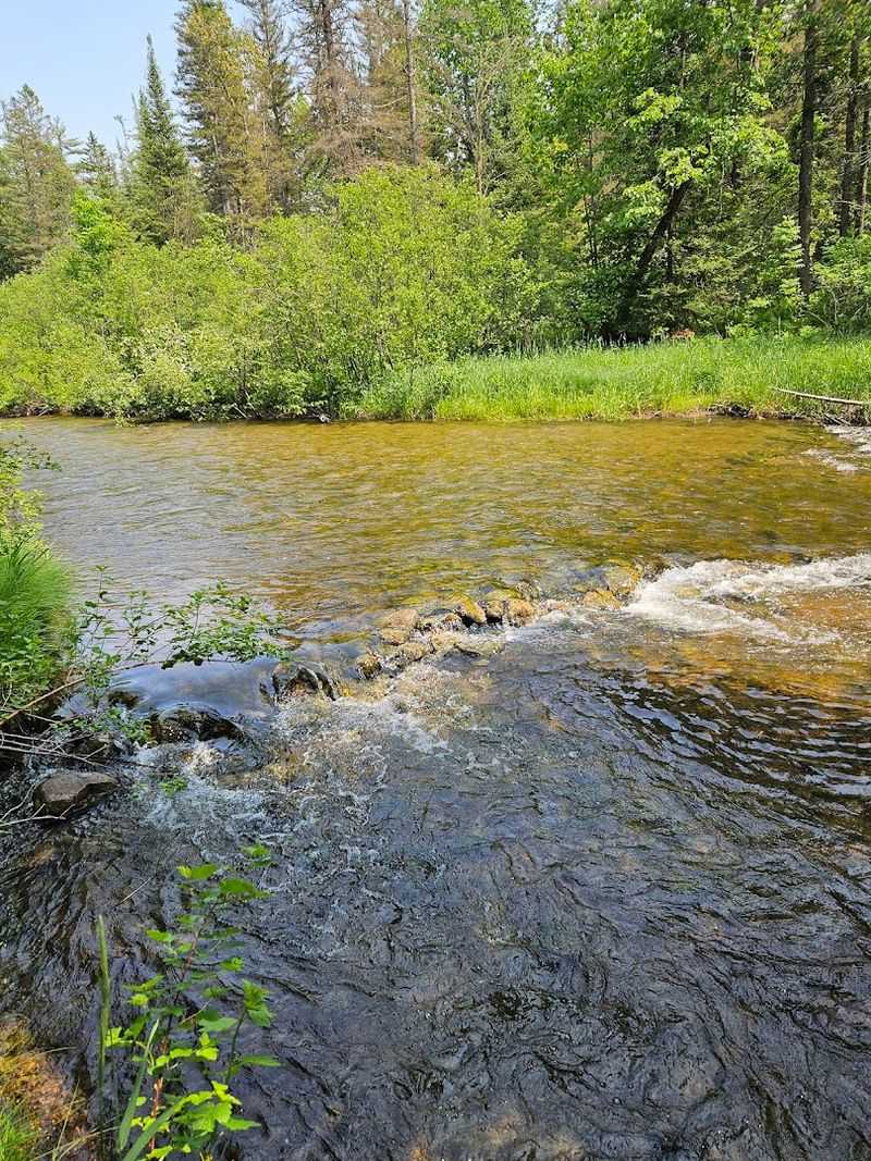 Fly Fishing the Pigeon River: A Quiet Angler's Dream