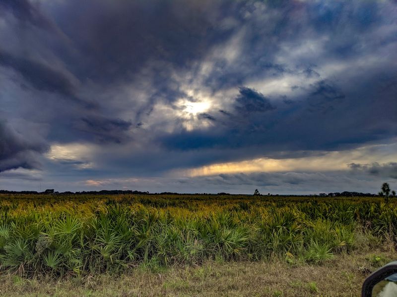 The Role of Conservation at an Active Military Base