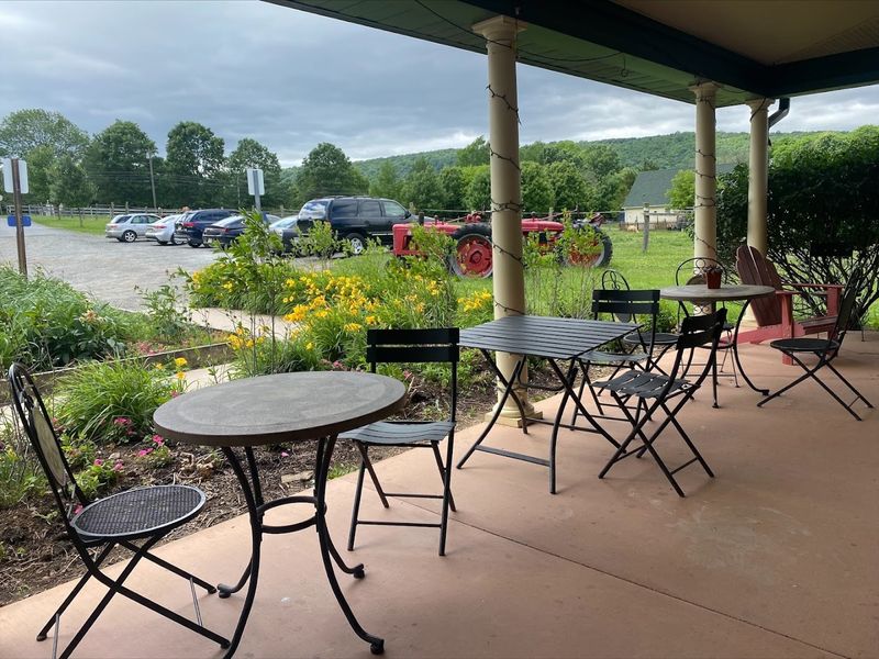 Planning Your Visit: Practical Tips