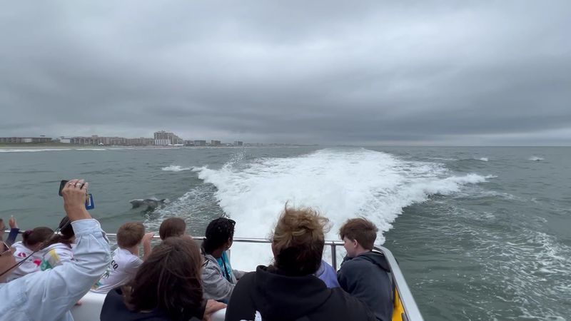 Family-Friendly From Start to Finish