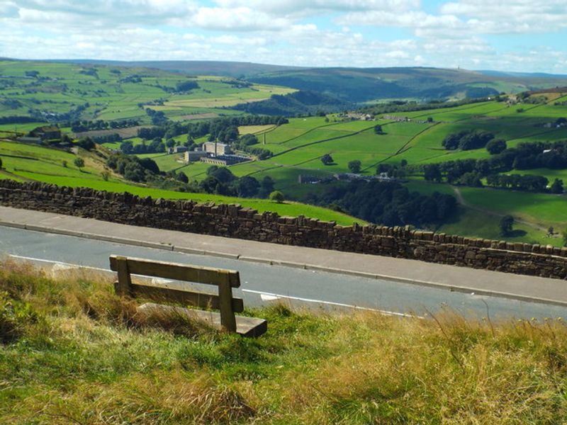 That One Bench With the Best View