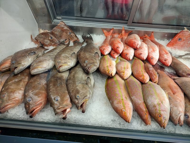Fresh Fish to Take Home and Cook Yourself