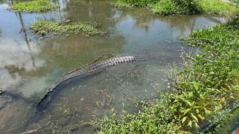 Kayaking Through the Everglades