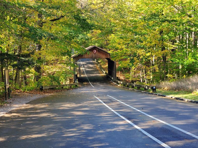 Wildlife Watching Along the Route