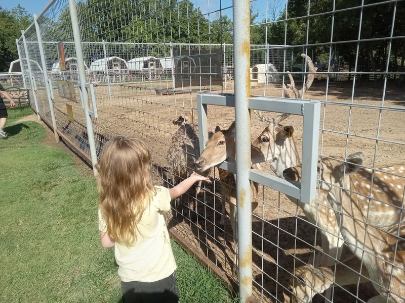 Where It All Begins: Address and Setting