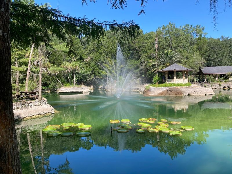 Practical Tips Before You Go