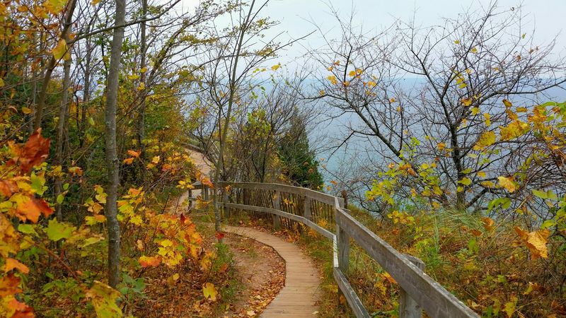Hiking Trails That Lead to Views Worth Every Step