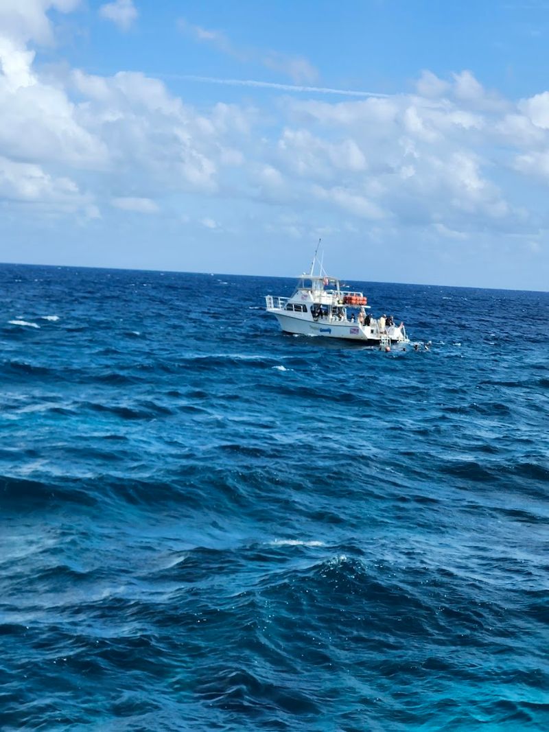 Tour Duration and What the Timeline Actually Looks Like