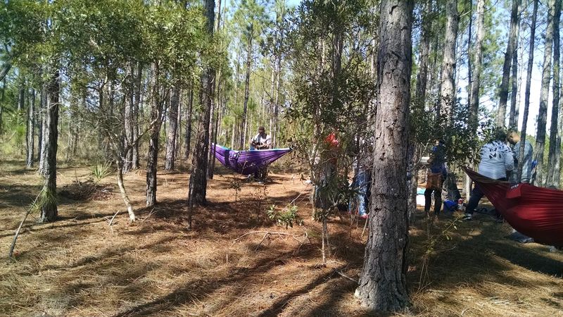 Community Events and Social Life: More Than Just Quiet Streets