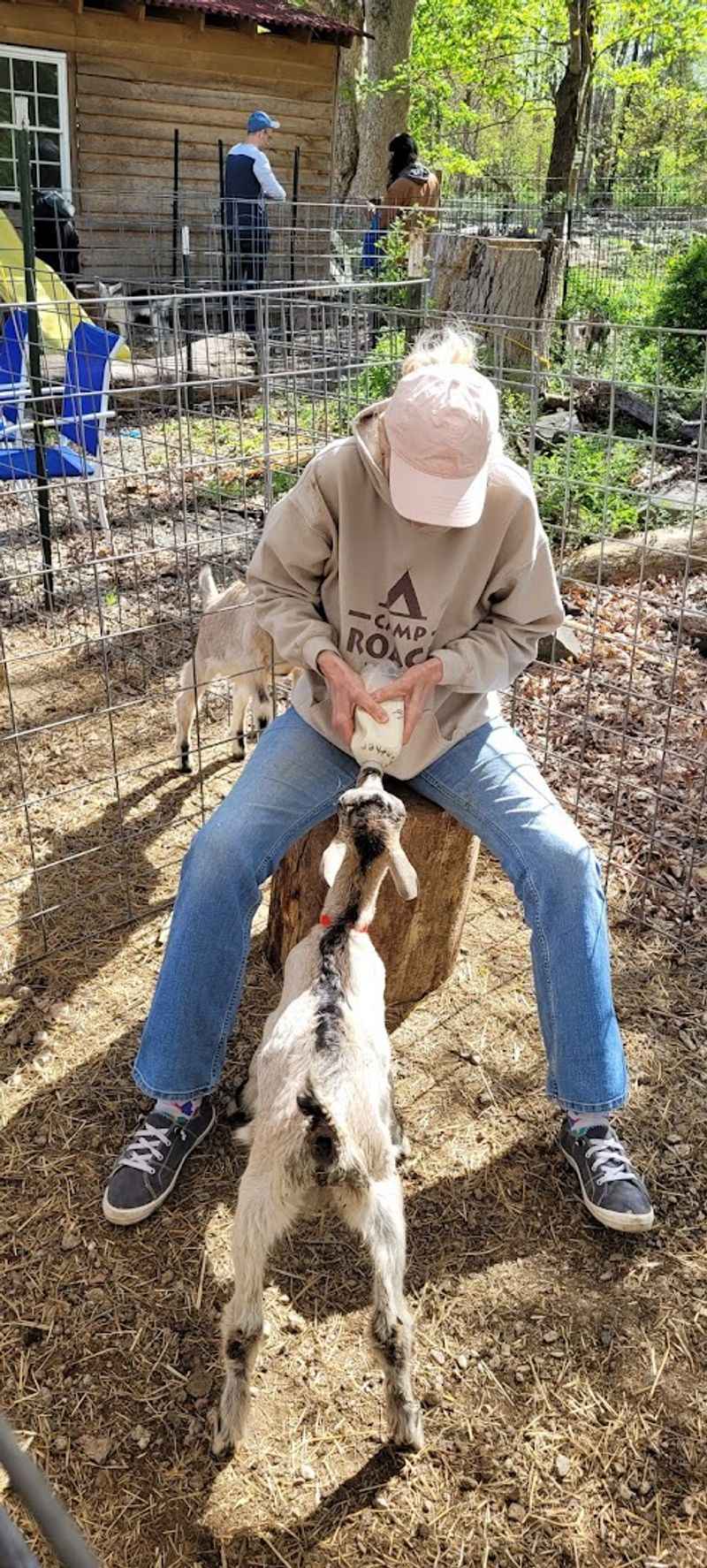 The Farm Stand and Gift Shop