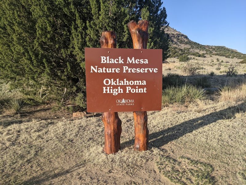 Tips for Making the Most of Your Visit