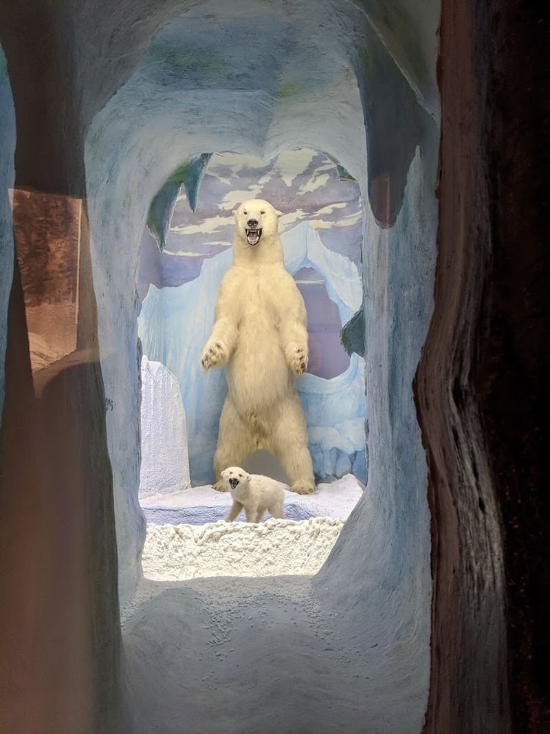 Wolves, Elk, Grizzlies, and Polar Bears: The Star Exhibits
