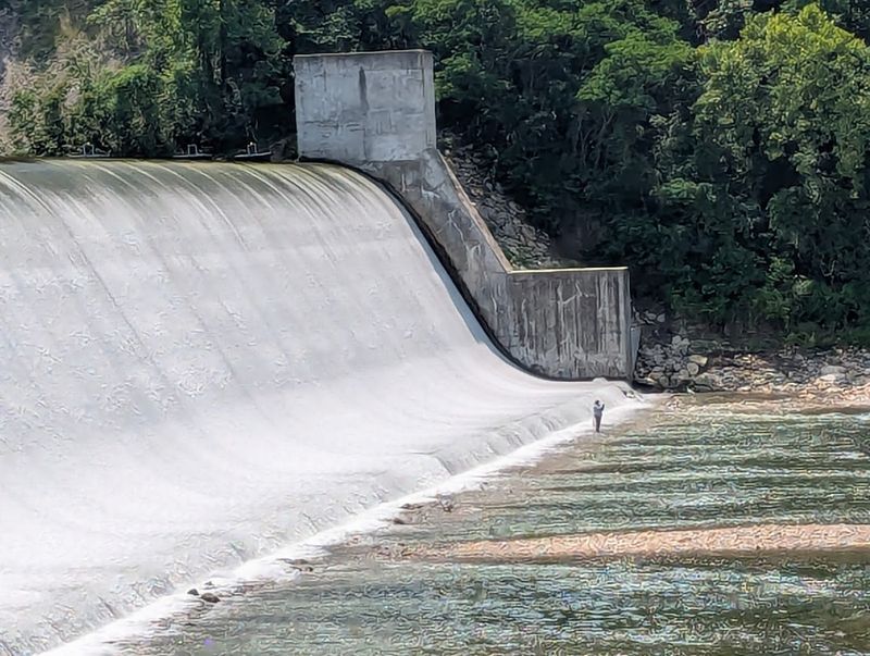 Fishing Below the Dam