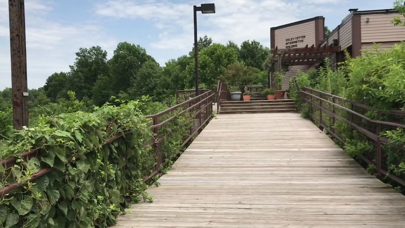 Visiting With Kids and Families