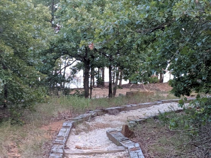 Wildlife You Might Spot Along the Way