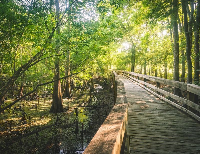 Wildlife Around Every Corner