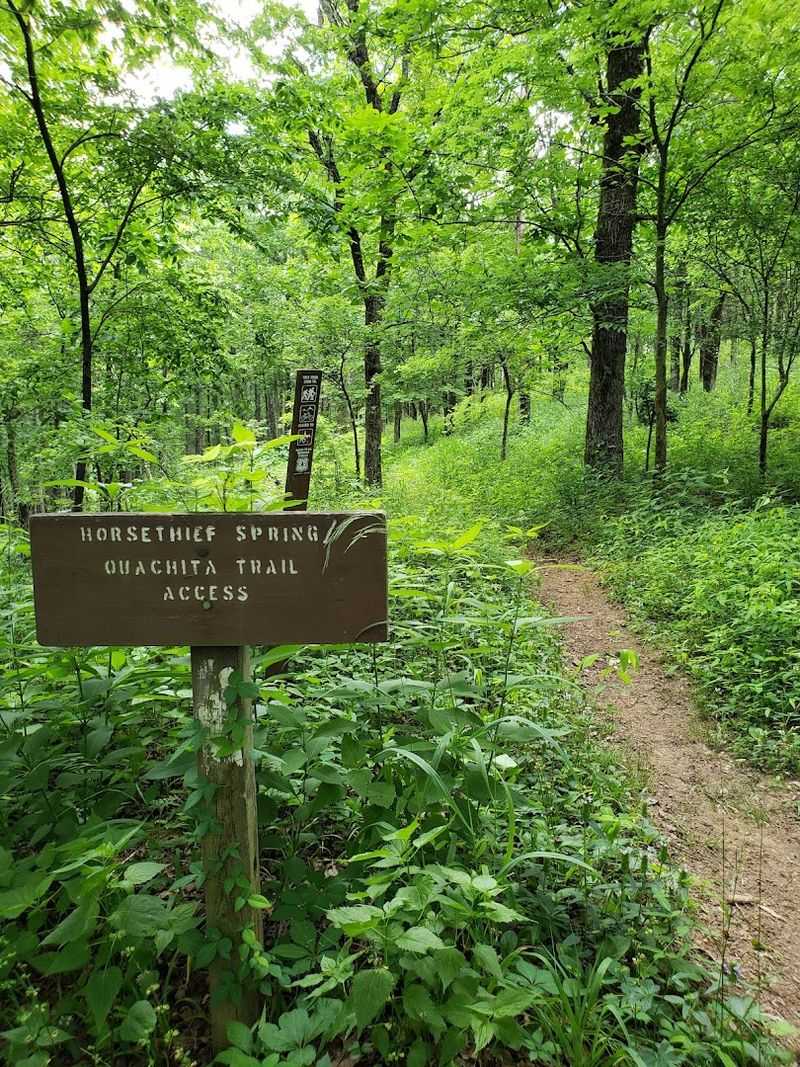 The Trail Down and the Terrain