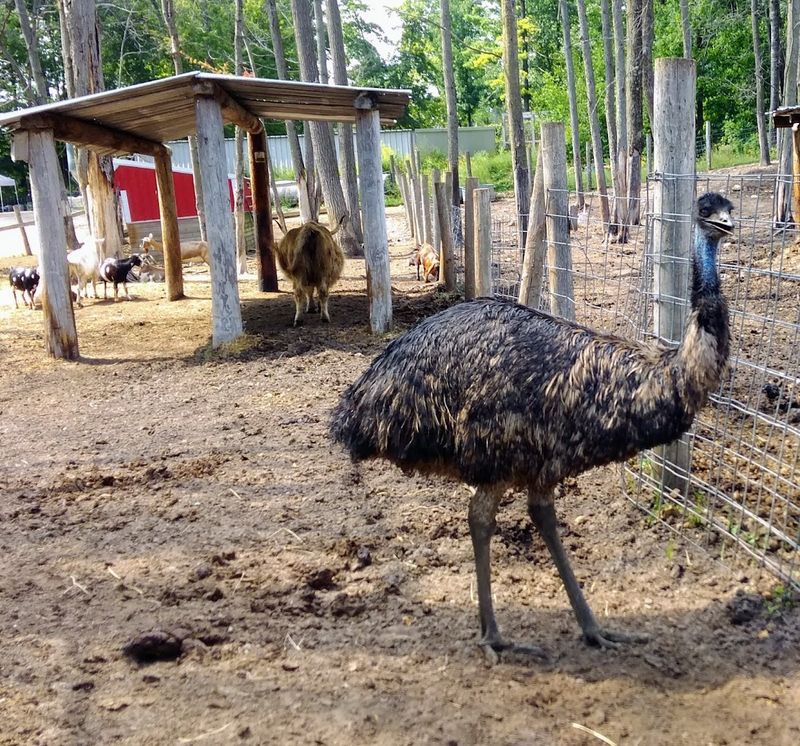 What Families Should Know Before Going