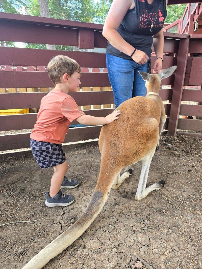 Tips for Getting the Most Out of Your Visit