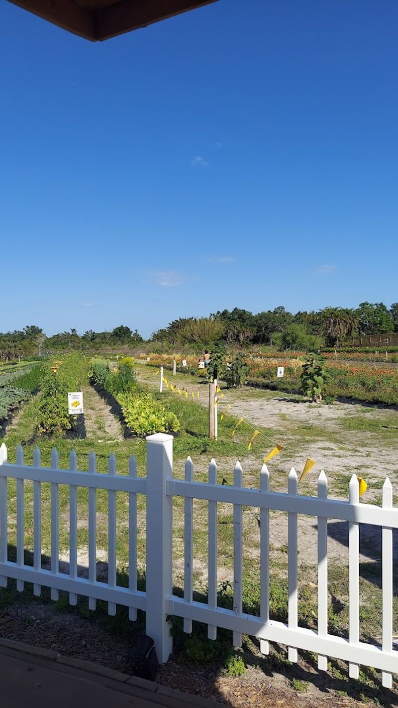 Tips for Planning Your Visit