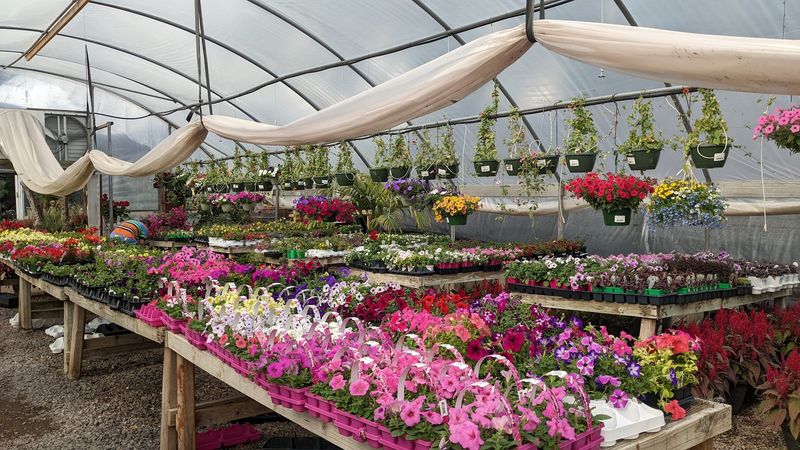 Seasonal Highlights and What to Expect Year-Round