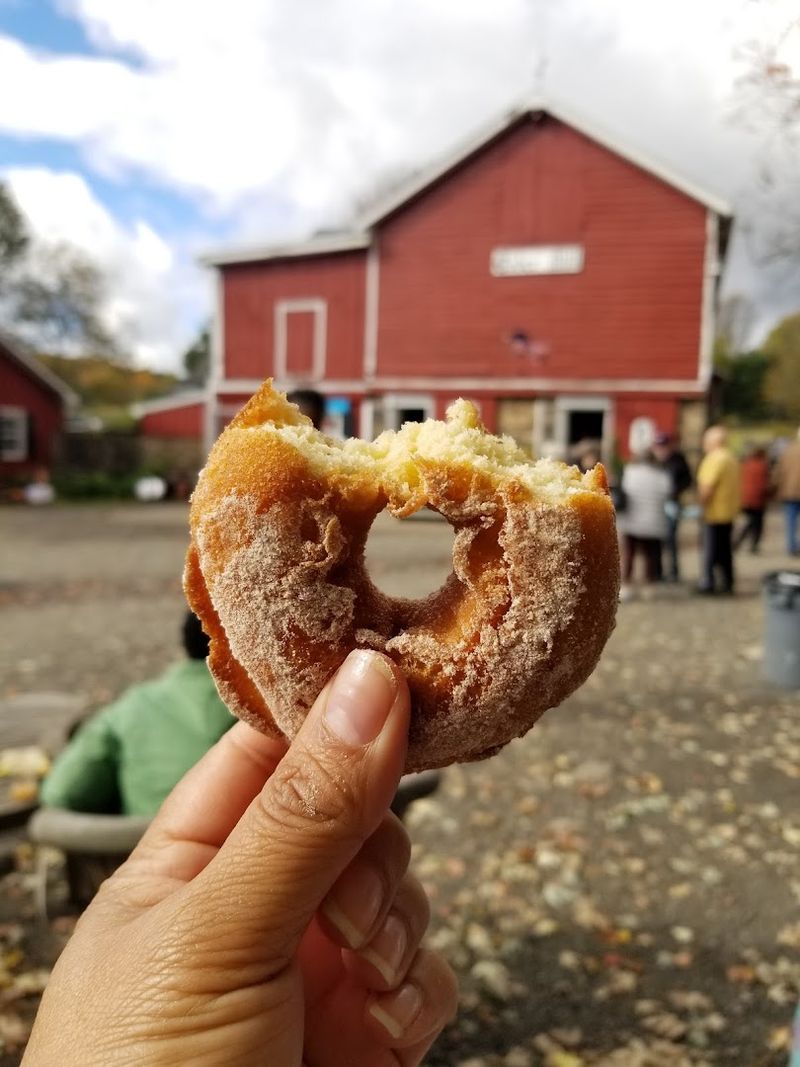 Apple Cider Donuts: The Cult Favorite