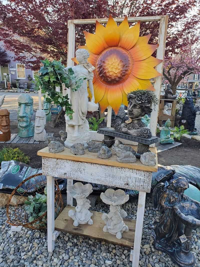 Reasonable Prices That Make the Trip Worth It