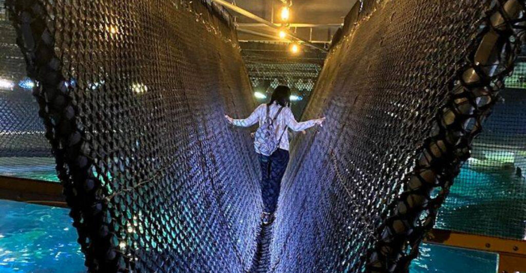 The Stomach-Dropping “Shark Bridge” Walk in New Jersey That Feels Like a Dare
