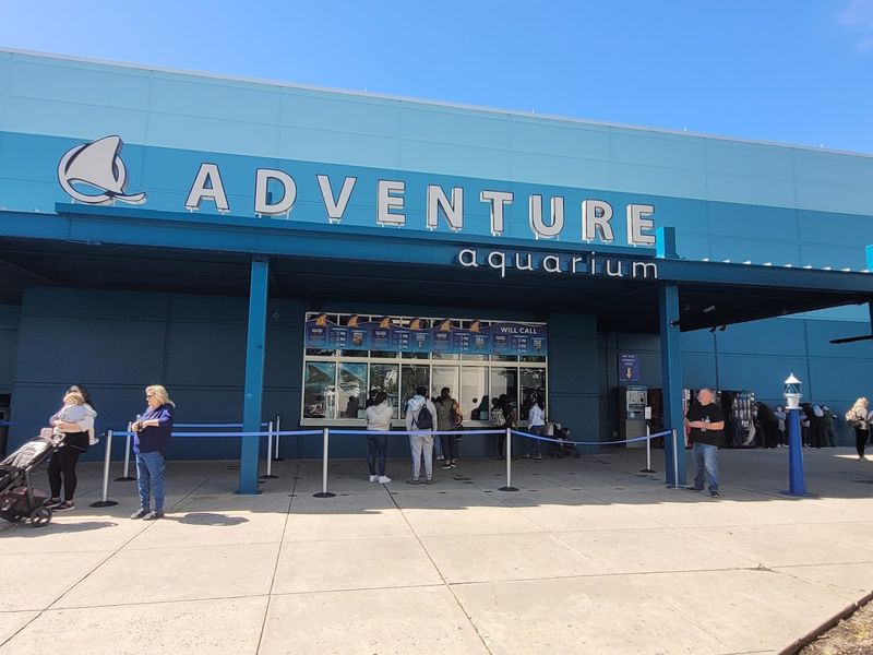 Where It All Starts: Address and Location