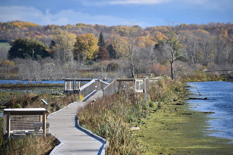 What the Boardwalk Itself Feels Like to Walk