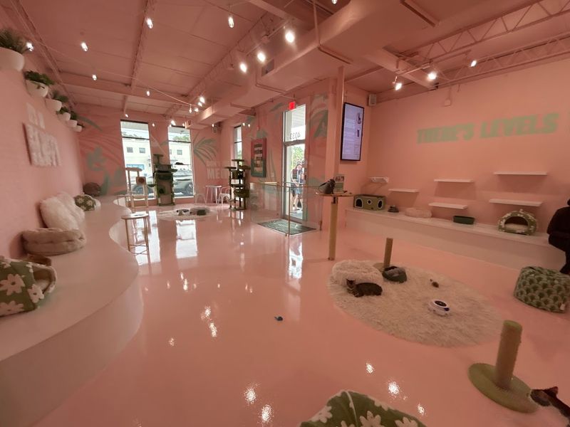 The Atmosphere Inside