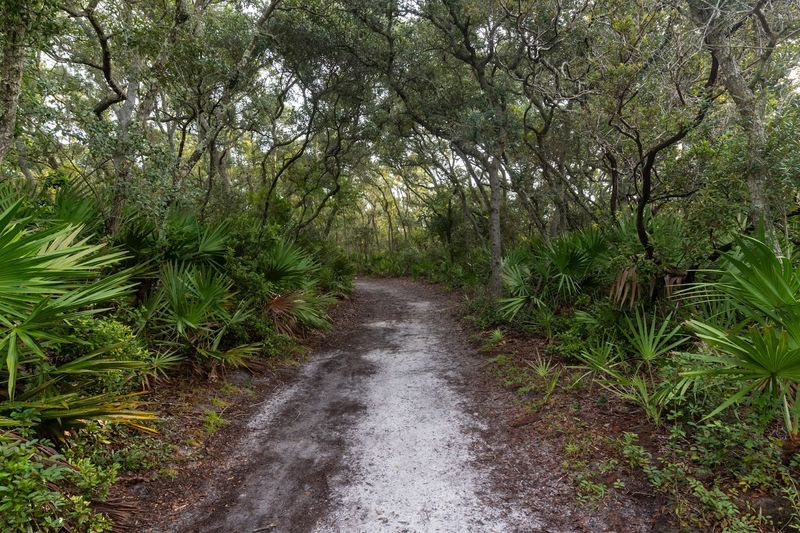 The Trail That Gets You There