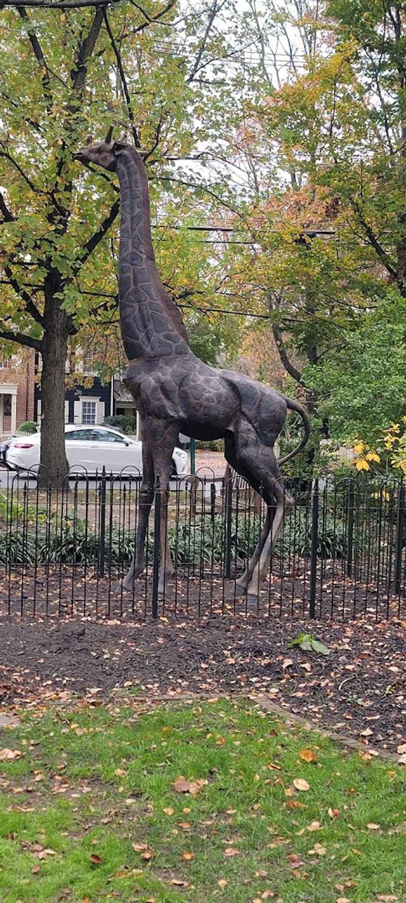 The Star of the Show: Meet the Towering Bronze Giraffe