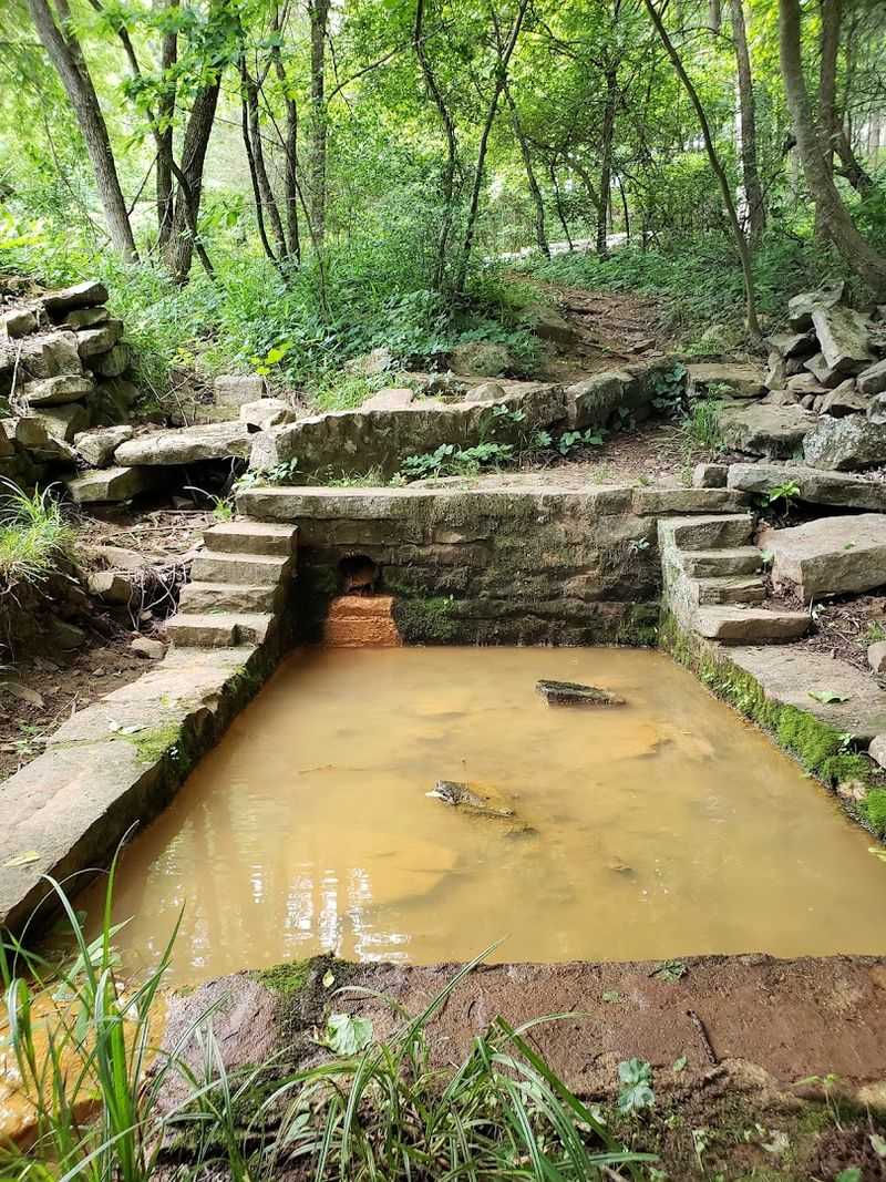 The Spring Itself and What to Expect