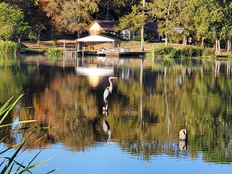 The Lake That Keeps Visitors Coming Back