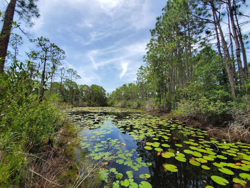 The Rare Coastal Dune Lakes You Will Not Find Anywhere Else